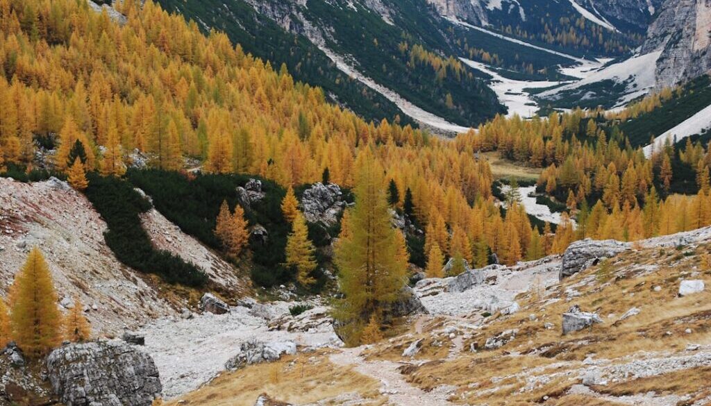 Karpaty w jesiennych barwach - najpiękniejsze szlaki
