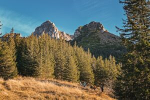 Beskidy - szlaki dla początkujących i rodzin z dziećmi