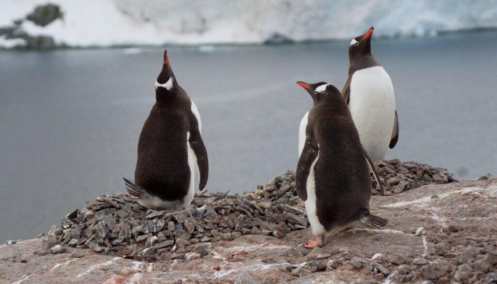 Tajemnice karpackich jaskiń - poznaj podziemny świat