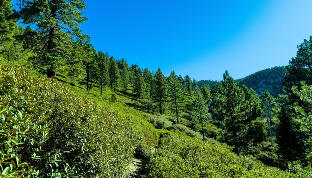 Szlaki w Tatrach Słowackich - przewodnik dla polskich turystów