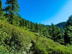 Szlaki w Tatrach Słowackich - przewodnik dla polskich turystów
