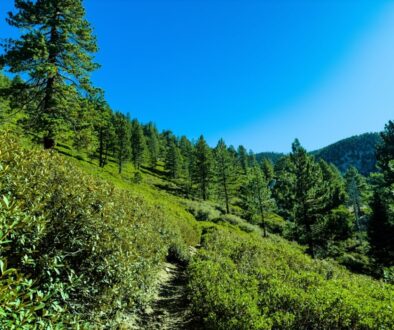 Szlaki w Tatrach Słowackich - przewodnik dla polskich turystów