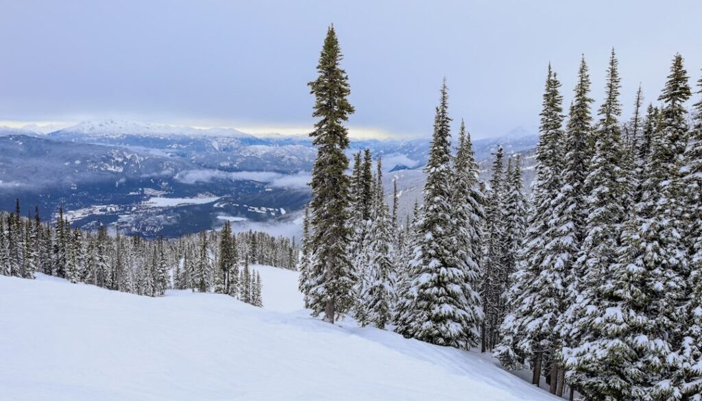 Gdzie w Karpatach jechać na narty - przewodnik po stokach