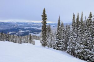 Gdzie w Karpatach jechać na narty - przewodnik po stokach
